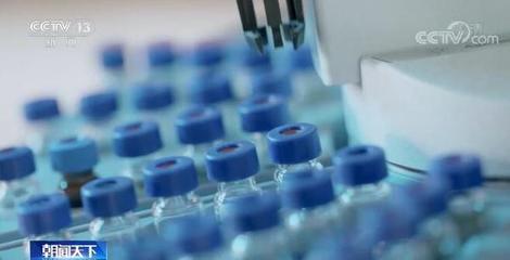 勇攀科技高峰 創新決勝未來 | 微生物科學構筑生命健康科技攻關高地