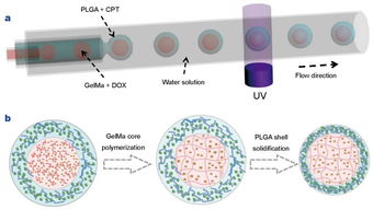 生物材料的多樣性和dds設計 藥物傳遞系統 ?？瘓D文詳解