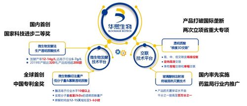 拒糖主義興起 氣泡水與玻尿酸聯(lián)手，生物基材料技術研發(fā)迎勢而上